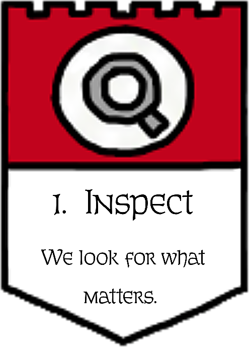 1. Inspect — we look for what matters.