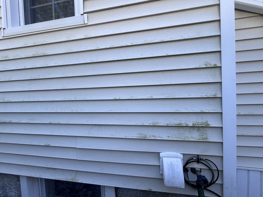 House siding before soft washing — green algae growth along the lap joints
